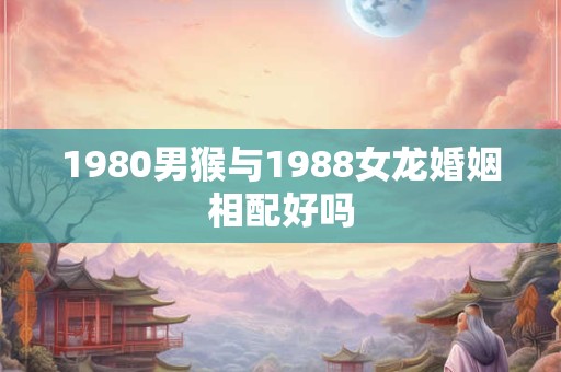 1980男猴与1988女龙婚姻相配好吗