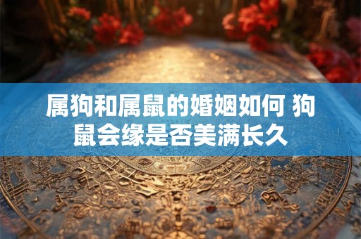 属狗和属鼠的婚姻如何 狗鼠会缘是否美满长久