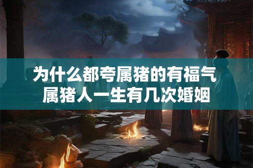 为什么都夸属猪的有福气 属猪人一生有几次婚姻