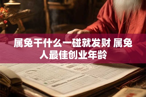 属兔干什么一碰就发财 属兔人最佳创业年龄