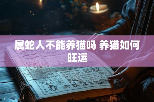 属蛇人不能养猫吗 养猫如何旺运