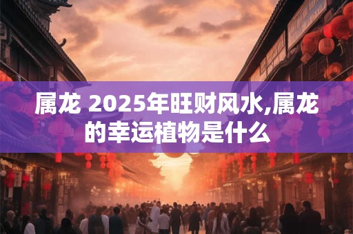属龙 2025年旺财风水,属龙的幸运植物是什么