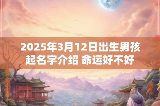 2025年3月12日出生男孩起名字介绍 命运好不好
