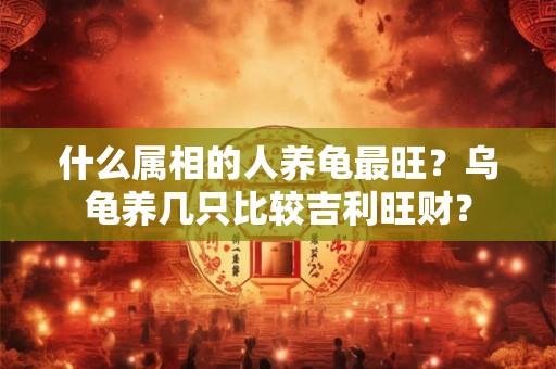 什么属相的人养龟最旺？乌龟养几只比较吉利旺财？