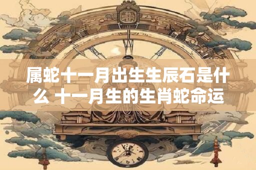 属蛇十一月出生生辰石是什么 十一月生的生肖蛇命运