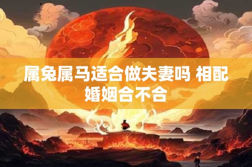 属兔属马适合做夫妻吗 相配婚姻合不合