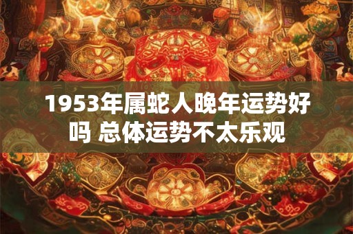 1953年属蛇人晚年运势好吗 总体运势不太乐观