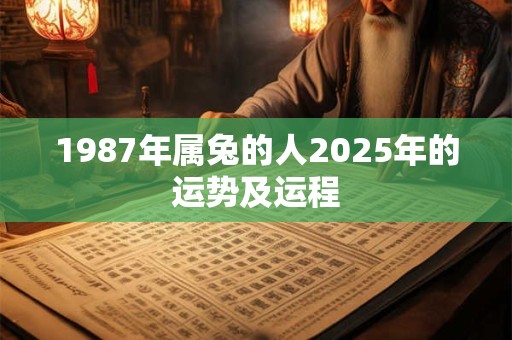 1987年属兔的人2025年的运势及运程