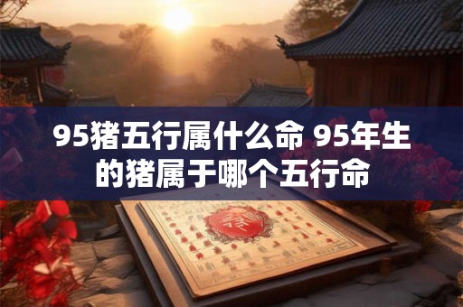 95猪五行属什么命 95年生的猪属于哪个五行命
