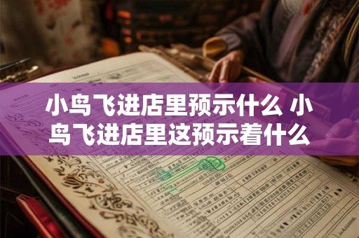 小鸟飞进店里预示什么 小鸟飞进店里这预示着什么