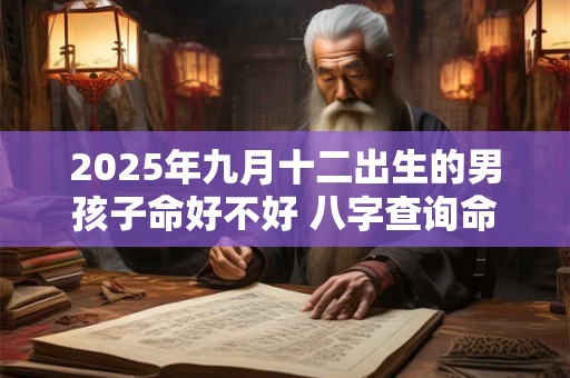 2025年九月十二出生的男孩子命好不好 八字查询命理