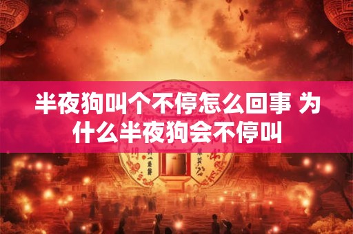 半夜狗叫个不停怎么回事 为什么半夜狗会不停叫