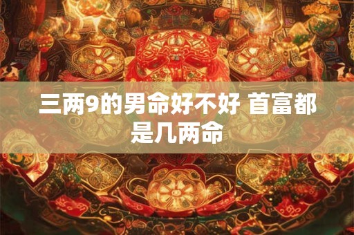 三两9的男命好不好 首富都是几两命