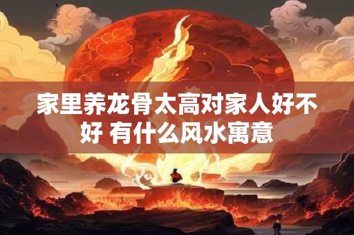 家里养龙骨太高对家人好不好 有什么风水寓意