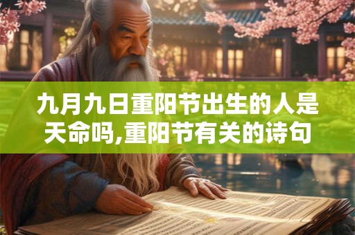 九月九日重阳节出生的人是天命吗,重阳节有关的诗句大全