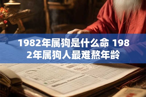 1982年属狗是什么命 1982年属狗人最难熬年龄