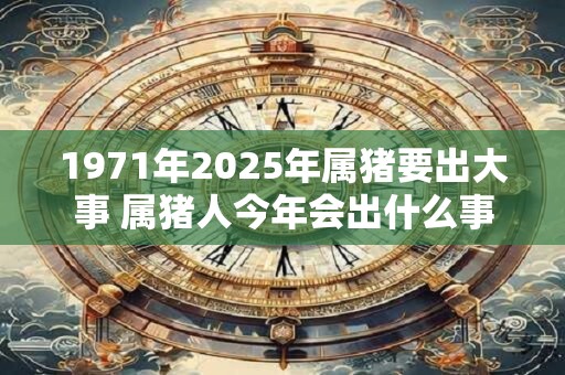 1971年2025年属猪要出大事 属猪人今年会出什么事 1971年2025年属猪要出大事 属猪人今年会出什么事