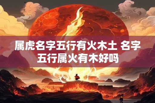 属虎名字五行有火木土 名字五行属火有木好吗