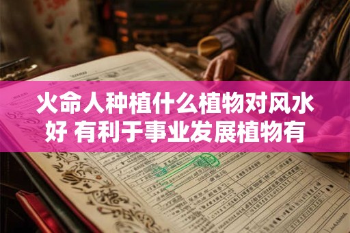 火命人种植什么植物对风水好 有利于事业发展植物有哪些