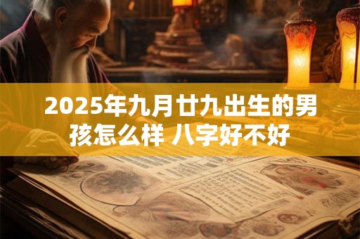 2025年九月廿九出生的男孩怎么样 八字好不好