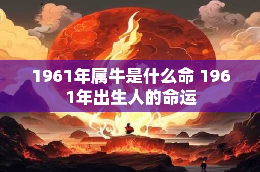 1961年属牛是什么命 1961年出生人的命运