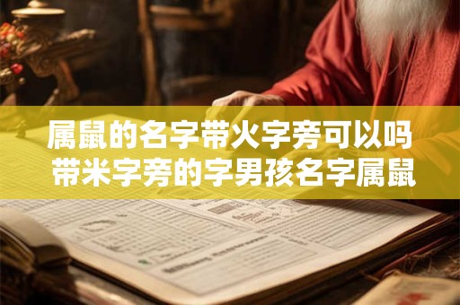 属鼠的名字带火字旁可以吗 带米字旁的字男孩名字属鼠 属鼠的名字带火字旁可以吗 带米字旁的字男孩名字属鼠