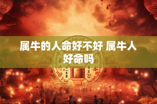 属牛的人命好不好 属牛人好命吗