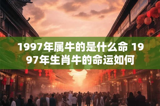 1997年属牛的是什么命 1997年生肖牛的命运如何