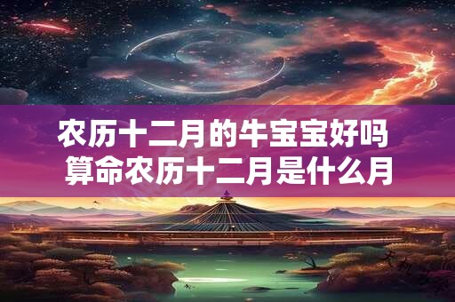 农历十二月的牛宝宝好吗 算命农历十二月是什么月