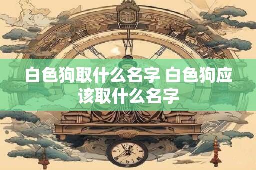 白色狗取什么名字 白色狗应该取什么名字
