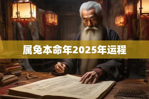 属兔本命年2025年运程