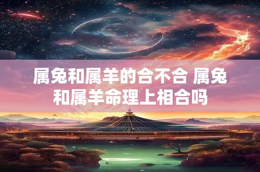 属兔和属羊的合不合 属兔和属羊命理上相合吗