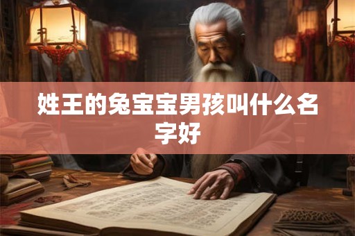 姓王的兔宝宝男孩叫什么名字好