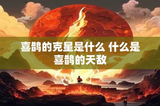喜鹊的克星是什么 什么是喜鹊的天敌