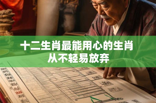 十二生肖最能用心的生肖 从不轻易放弃 十二生肖最能用心的生肖 从不轻易放弃