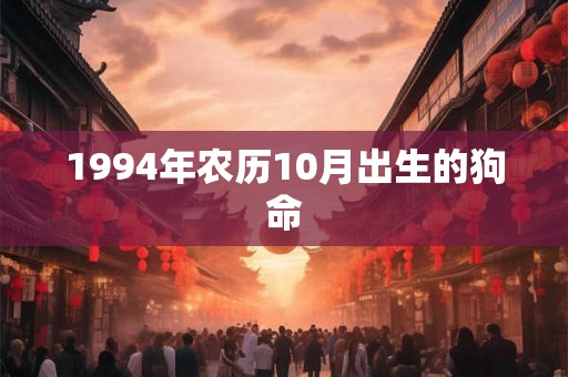 1994年农历10月出生的狗命