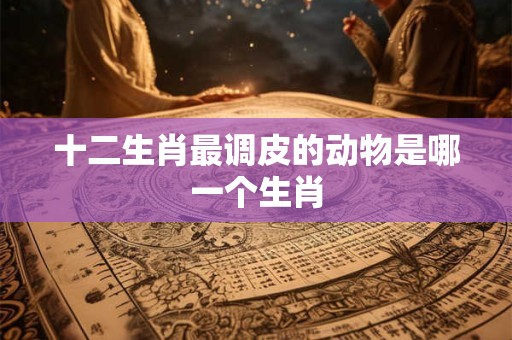 十二生肖最调皮的动物是哪一个生肖