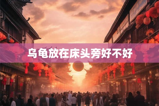 乌龟放在床头旁好不好