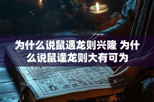 为什么说鼠遇龙则兴隆 为什么说鼠逢龙则大有可为
