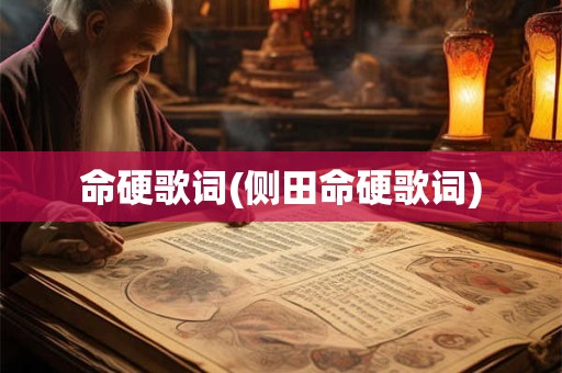 命硬歌词(侧田命硬歌词)