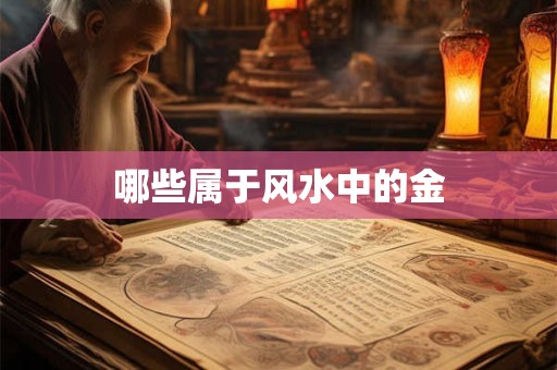 哪些属于风水中的金