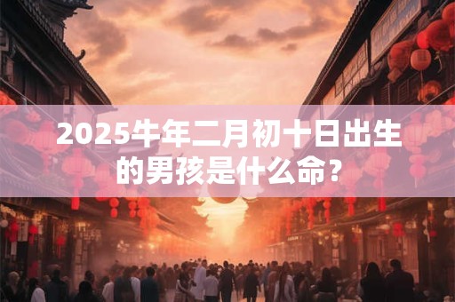 2025牛年二月初十日出生的男孩是什么命？