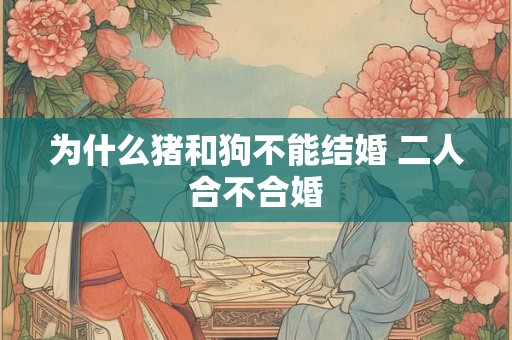 为什么猪和狗不能结婚 二人合不合婚
