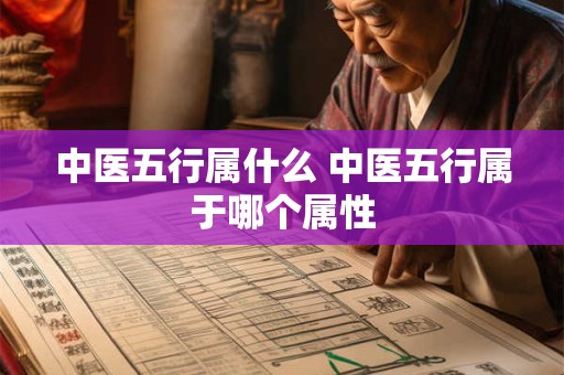 中医五行属什么 中医五行属于哪个属性