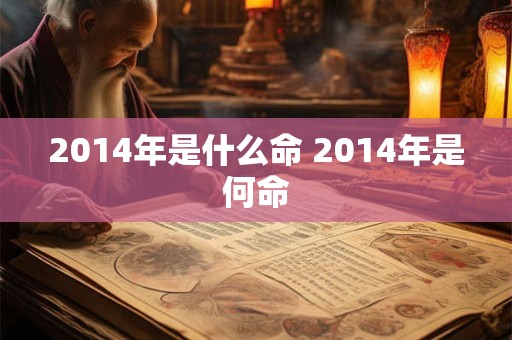 2014年是什么命 2014年是何命