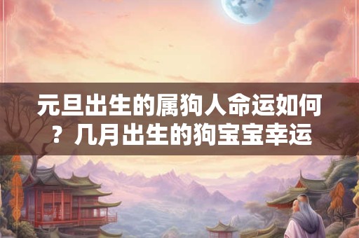 元旦出生的属狗人命运如何?几月出生的狗宝宝幸运 元旦出生的属狗人命运如何?几月出生的狗宝宝幸运