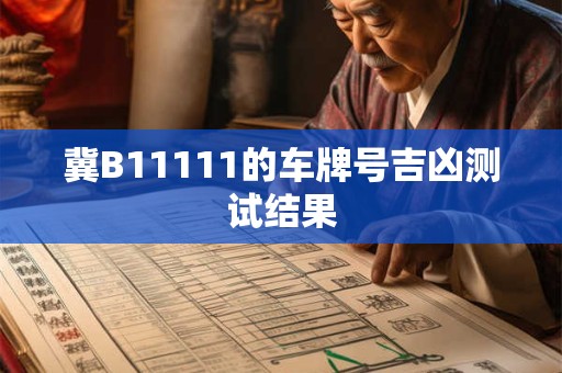 冀B11111的车牌号吉凶测试结果