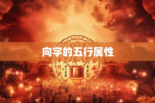 向字的五行属性