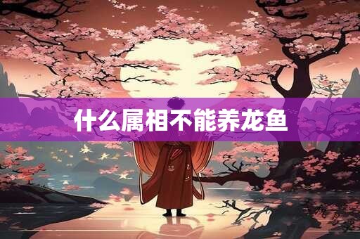什么属相不能养龙鱼