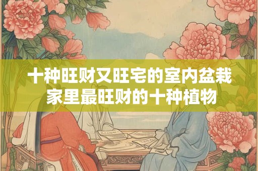 十种旺财又旺宅的室内盆栽 家里最旺财的十种植物